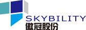 SKYBILITY 傲冠股份